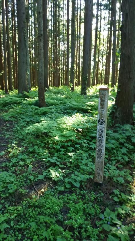 西馬音内城