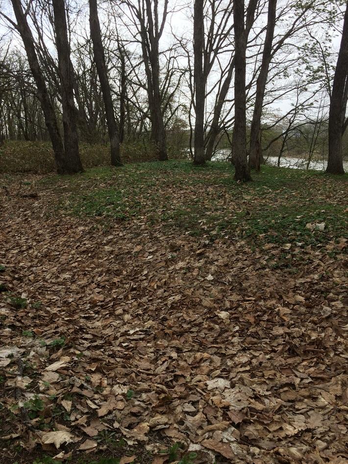 神居古潭チャシ