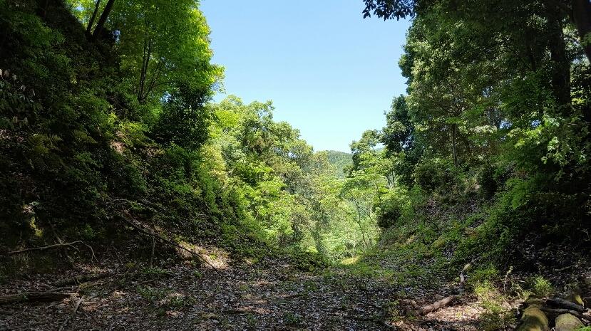 寺山城