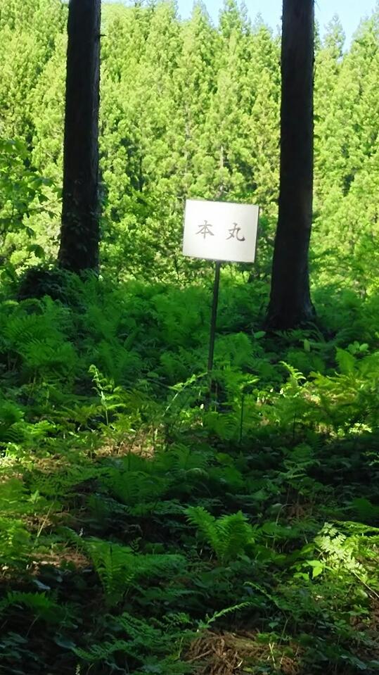 楢岡城