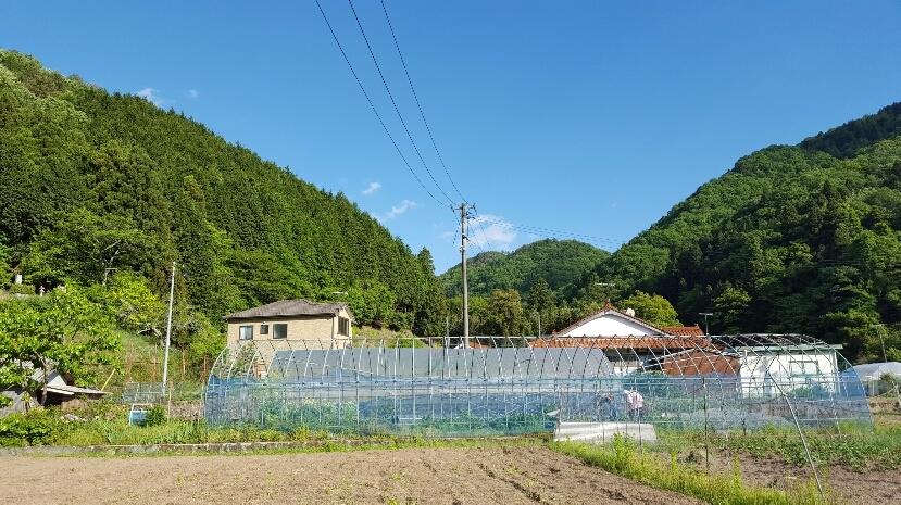 阿賀城