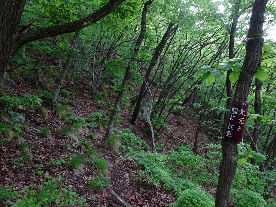 尼厳城
