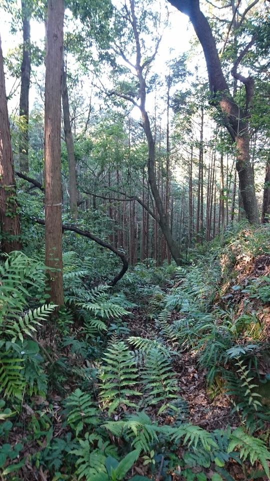棚底城