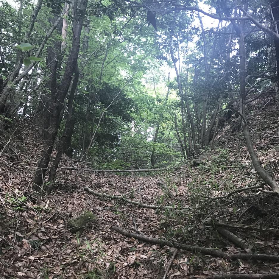 龍王山城