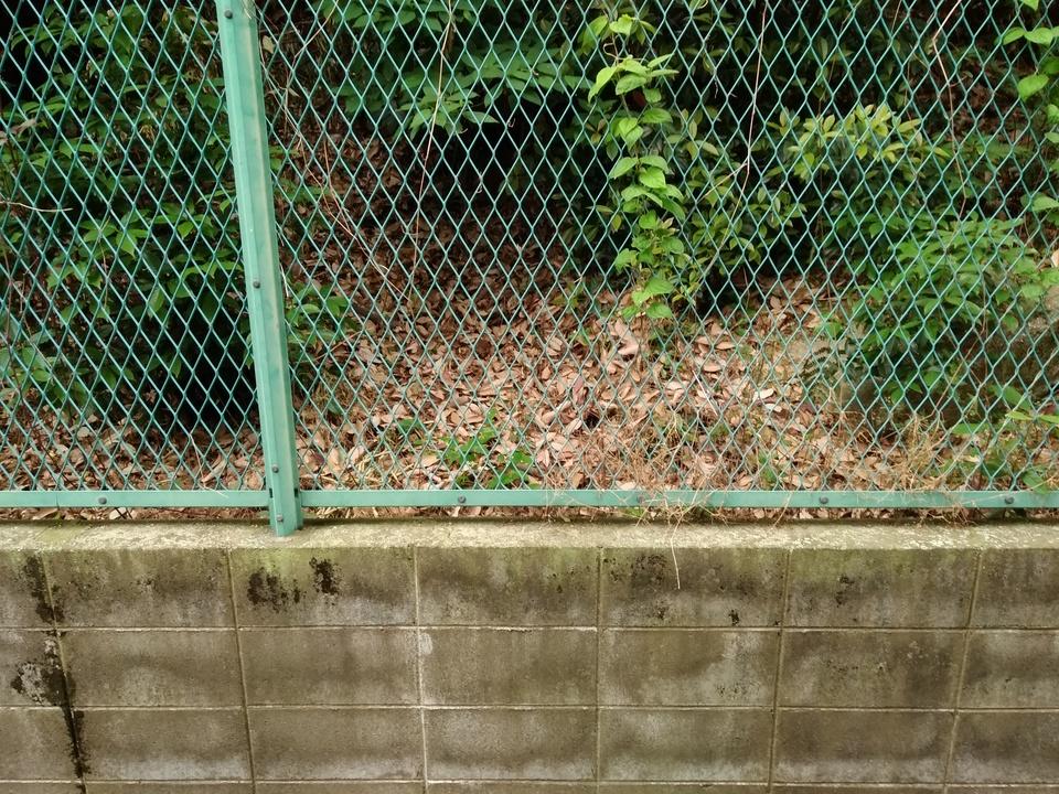 普門寺城