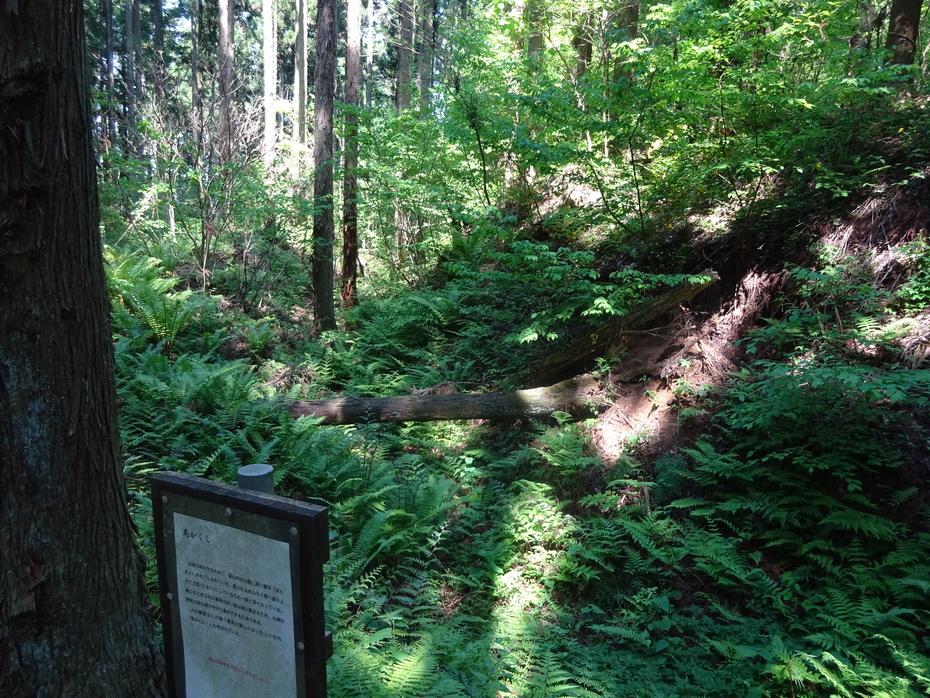 髻山城