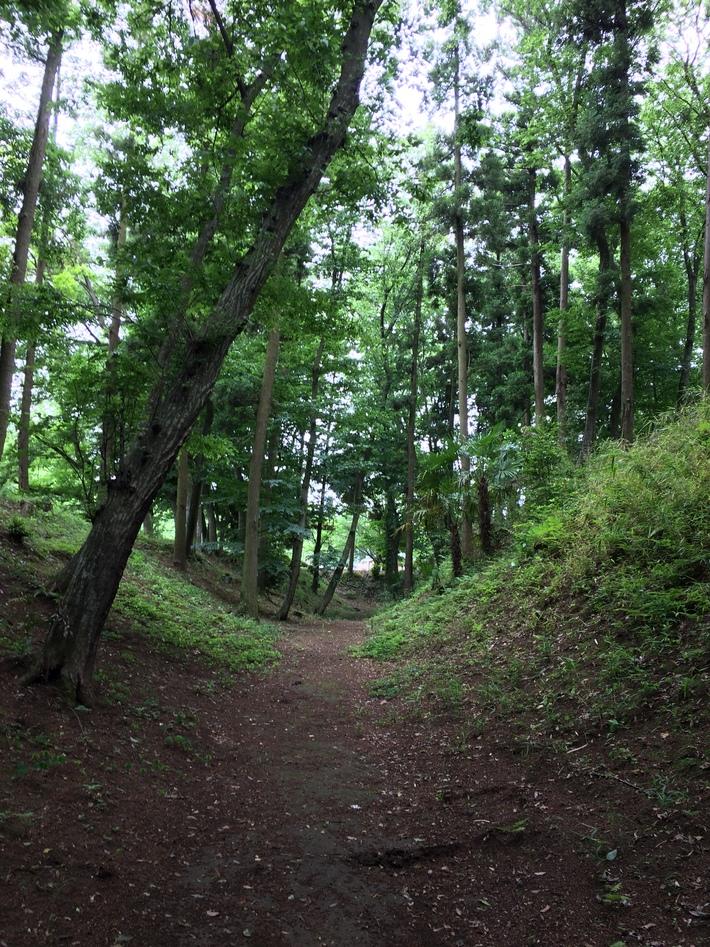 逆井城