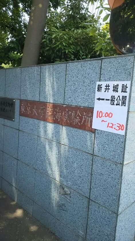 新井城