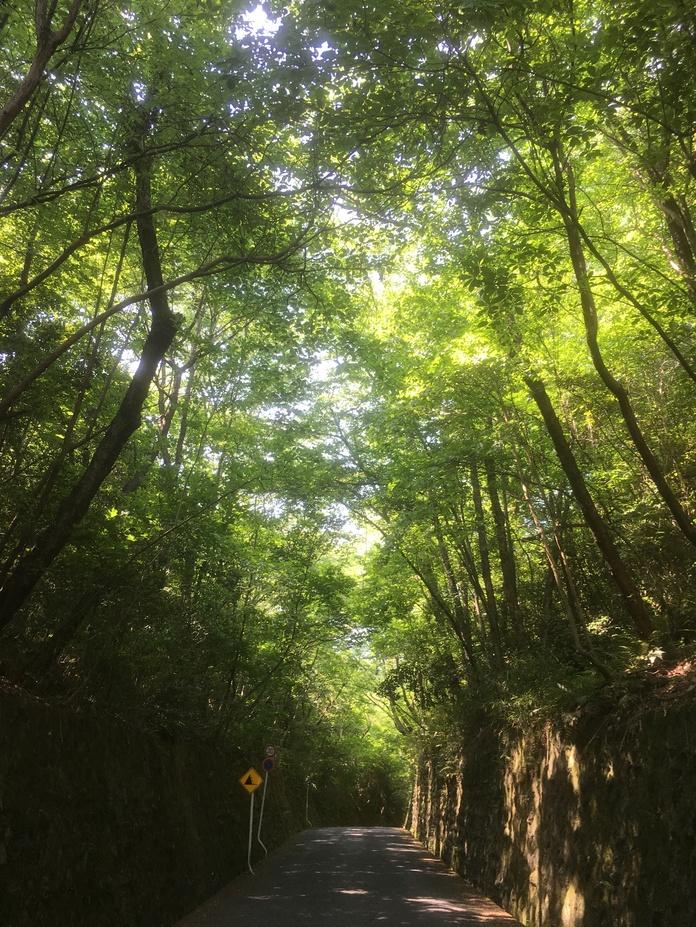 堂ノ庭城