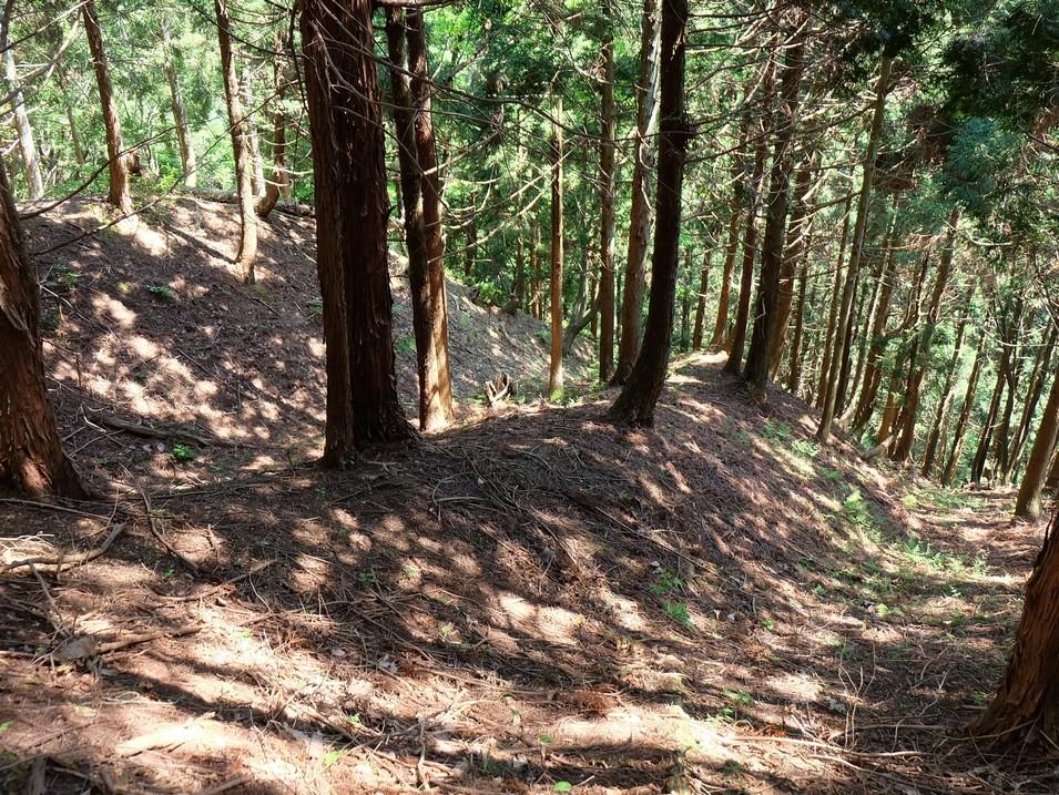 田屋城