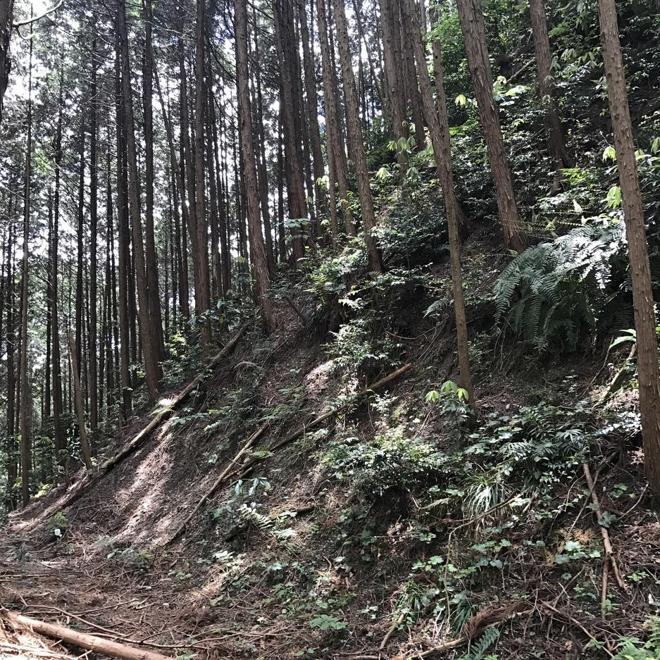 信貴山城