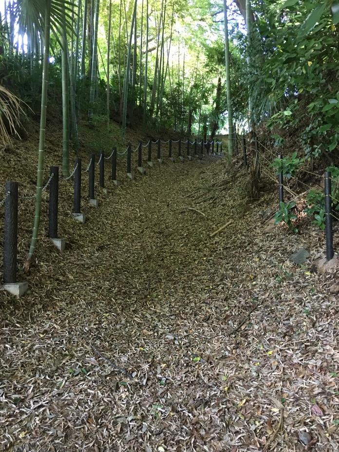 深大寺城