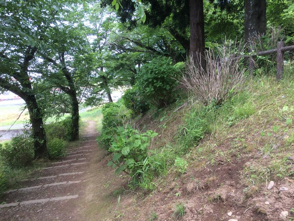 結城城