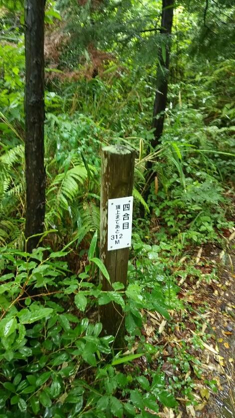 白鹿城