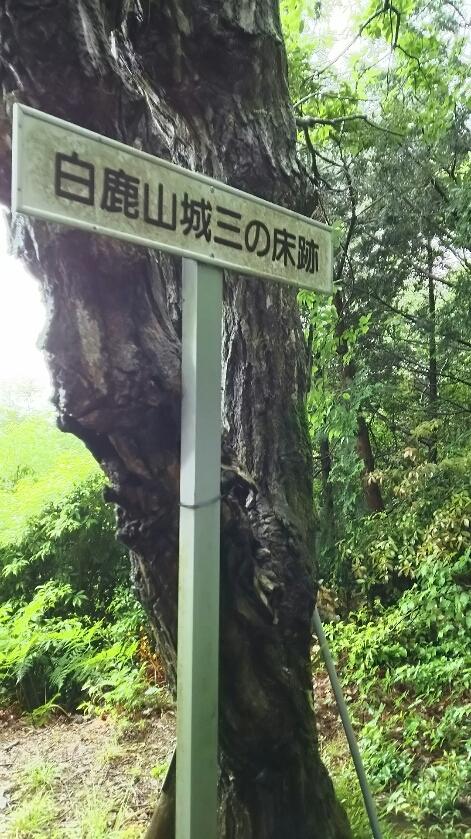 白鹿城