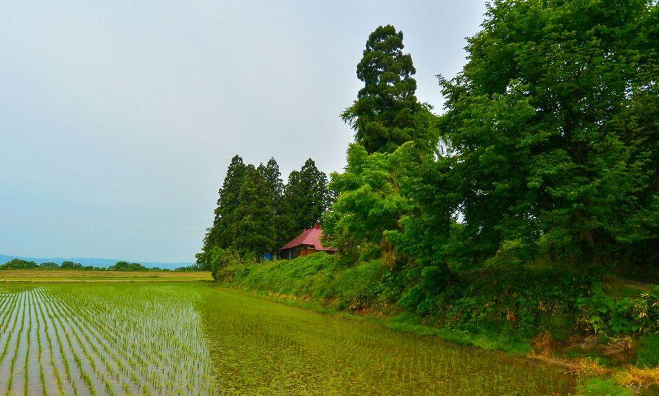 神指城