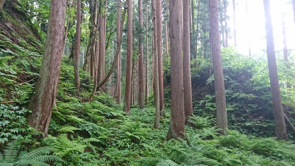 石鳥谷館