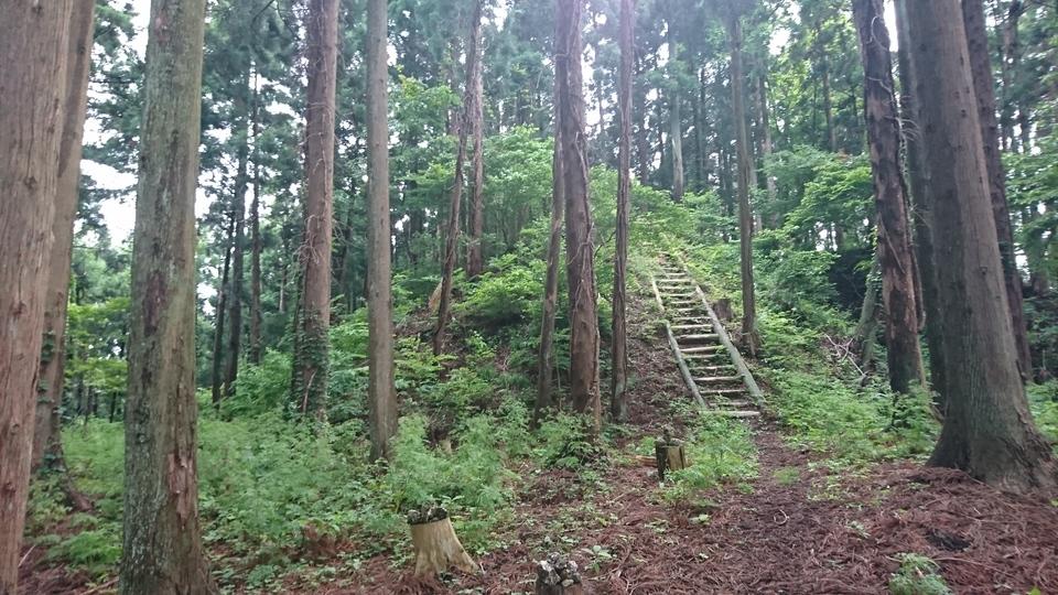 浦城
