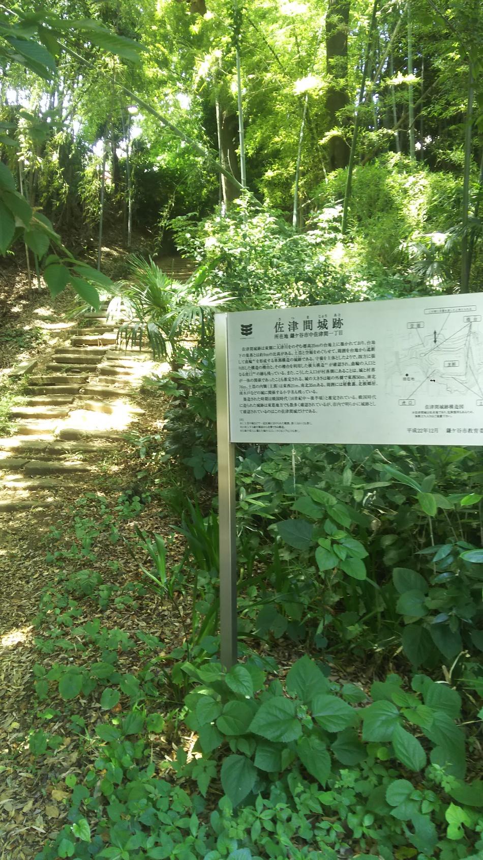 佐津間城
