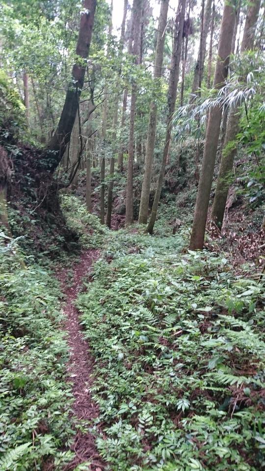 恒吉城