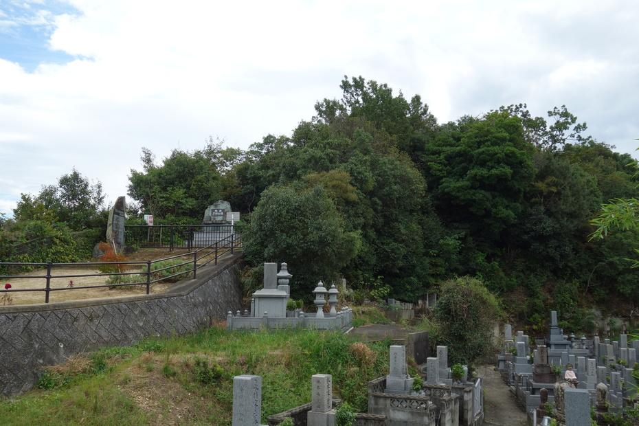 夷山城