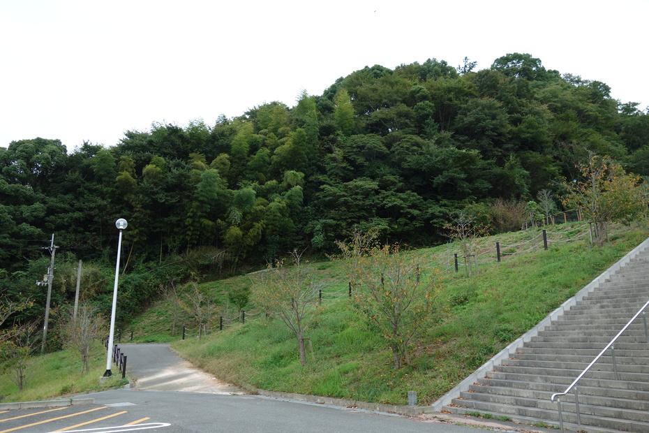 木津城