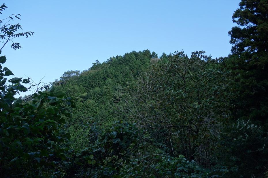 田尾城