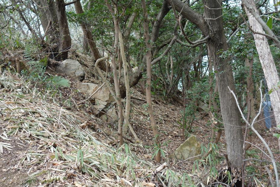 聖通寺城