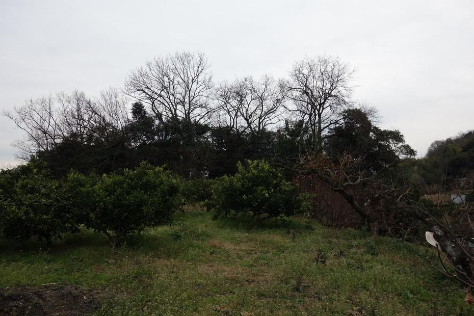 北岡城