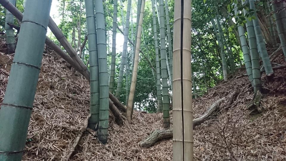 轟城