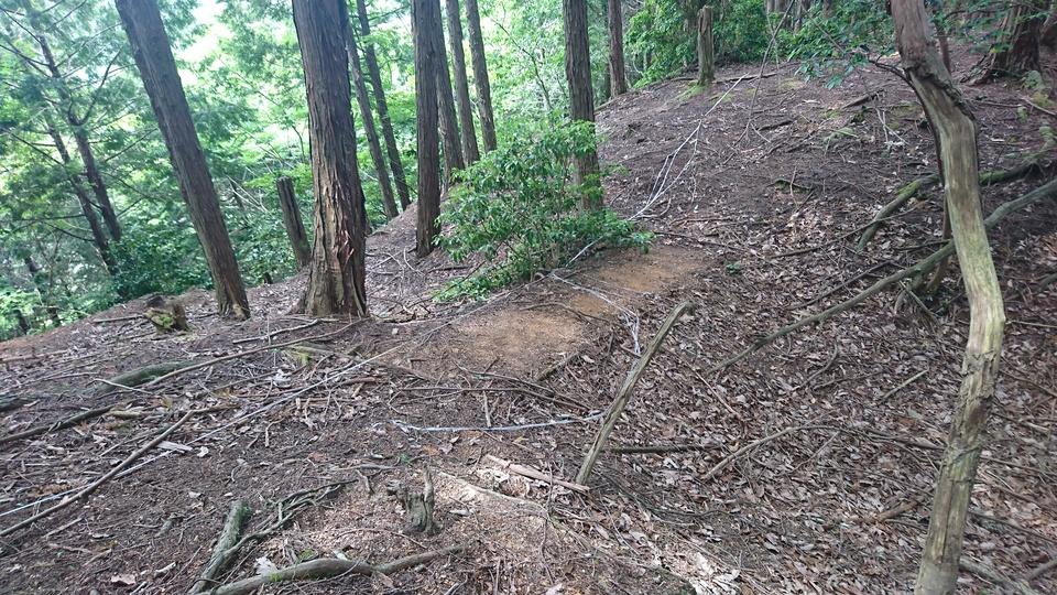 鳴岩城