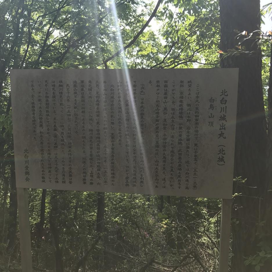 将軍山城