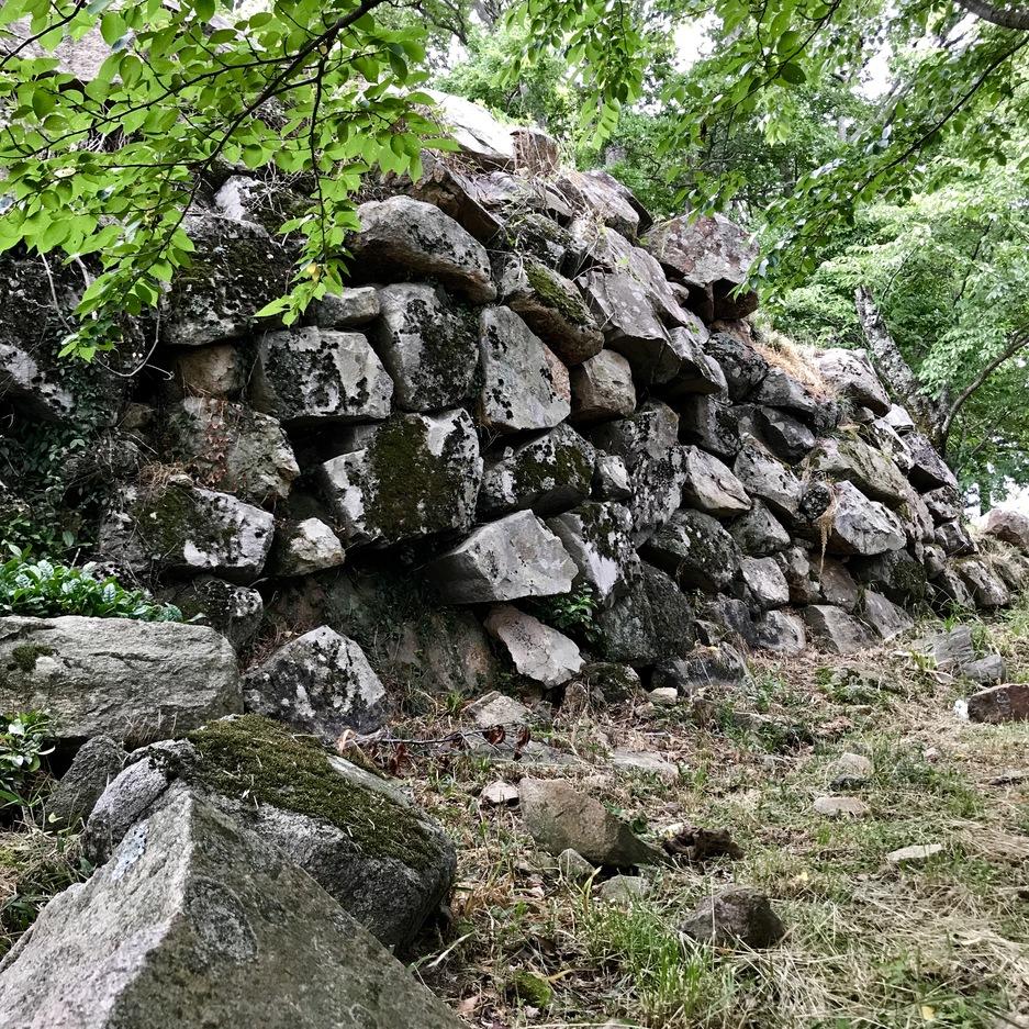 鳥取城