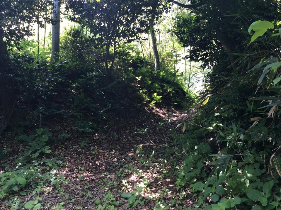 米ヶ崎城