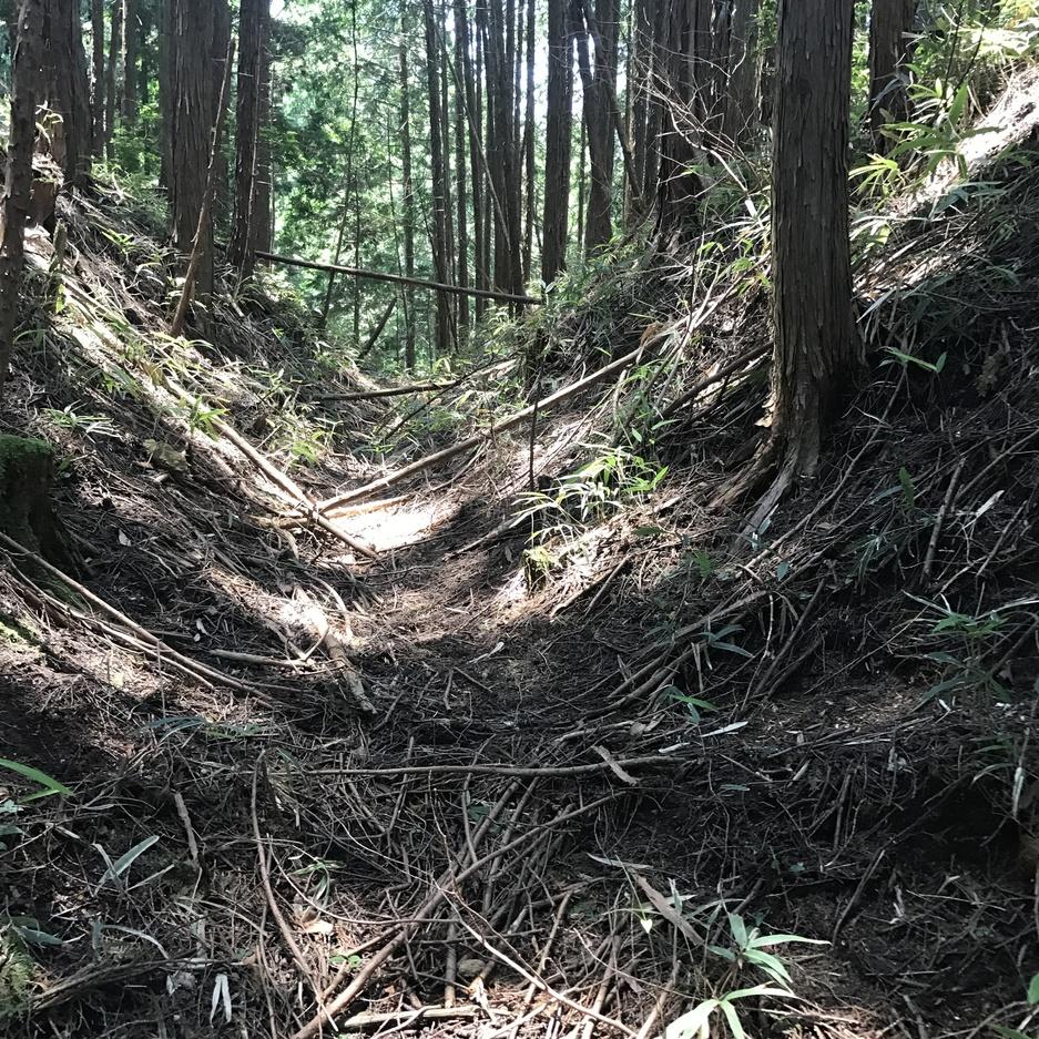 赤埴上城