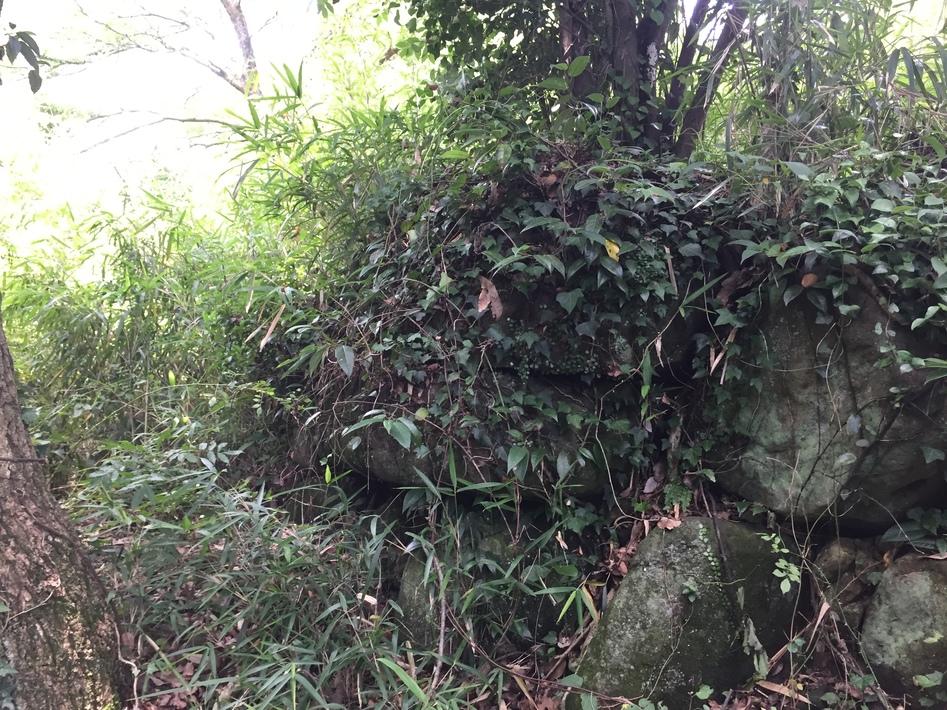 雨滝城