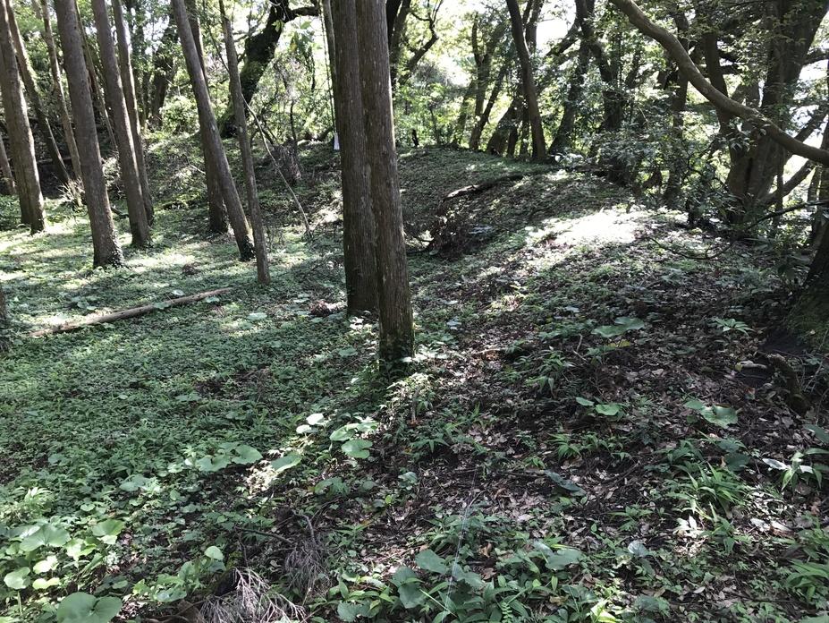 高山城