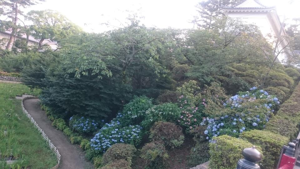 小田原城