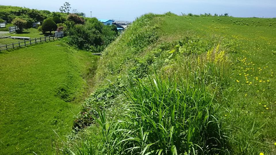 志苔館