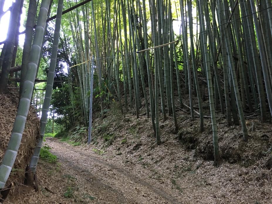 前林城