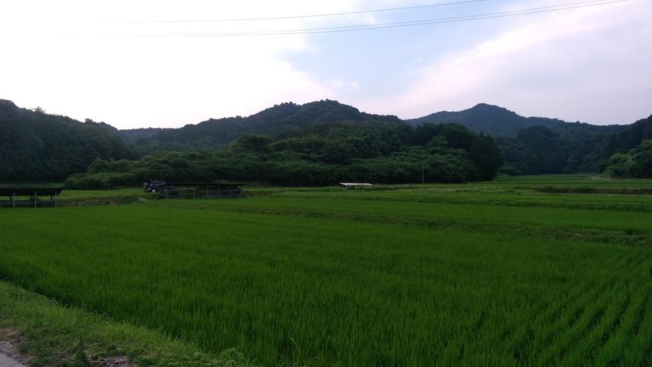 宇利城
