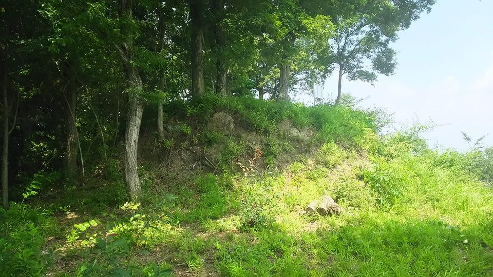 善防山城