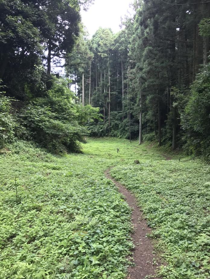 箕輪城