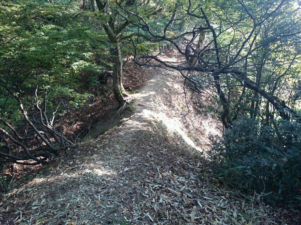 京極氏城館