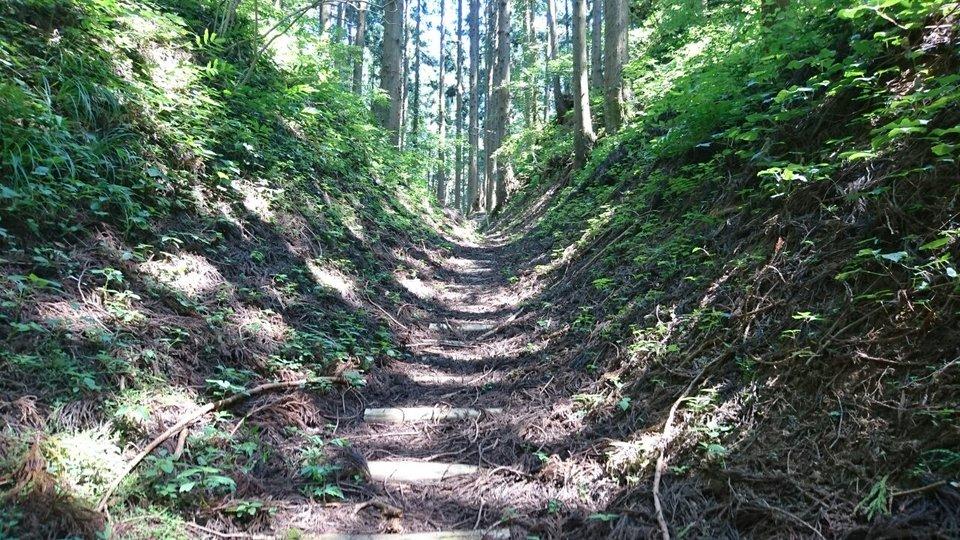 浦城