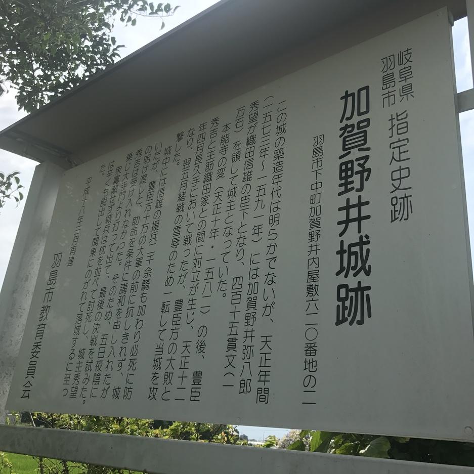 加賀野井城