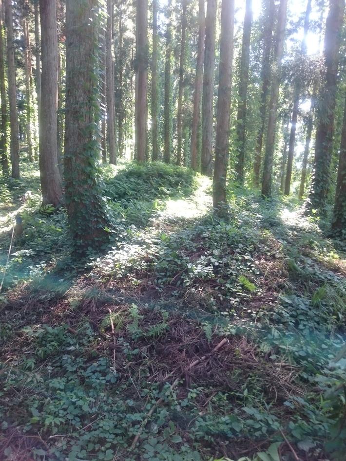 大鳥井柵