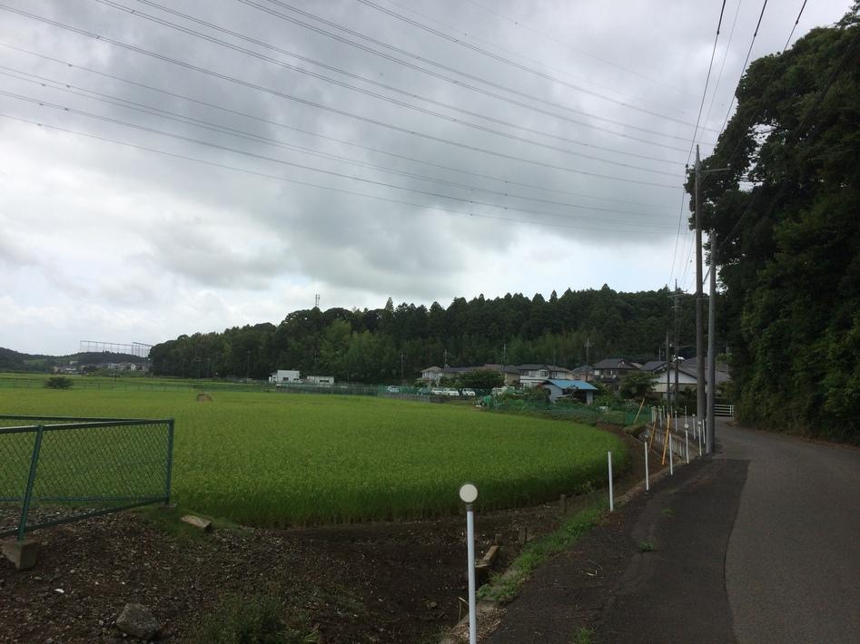城城