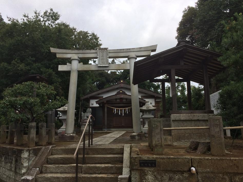 城城