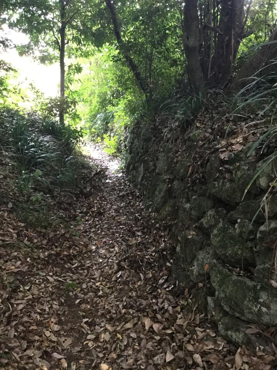 桜馬場城